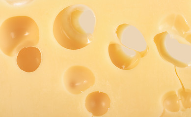 Image showing Abstract background of yellow cheese