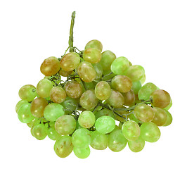 Image showing Single bunch of green grape