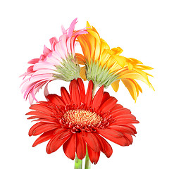 Image showing Bouquet of three flowers