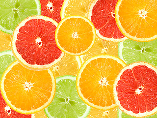 Image showing Abstract background of citrus slices