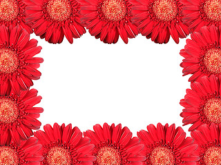 Image showing Abstract frame with red flowers