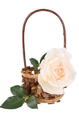 Image showing One light-pink rose in basket