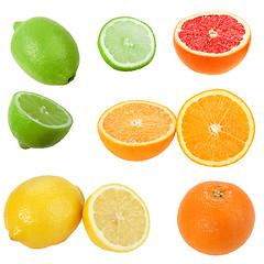 Image showing Set of citrus fruits