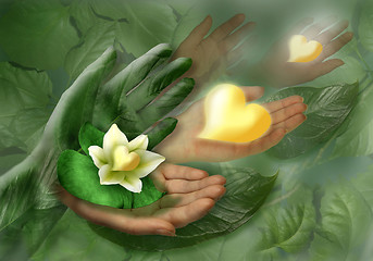 Image showing Still-life with hands, leaf and flower as heart