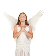 Image showing young angel girl praying on white