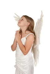 Image showing young angel praying on white background