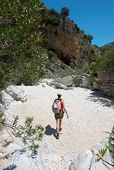 Image showing Trekking