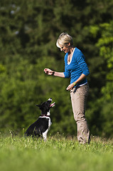 Image showing Dog training