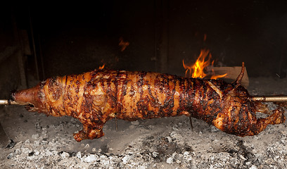 Image showing Tasty grilled pork