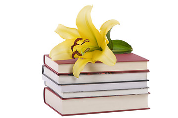 Image showing pile of books and yellow lily flower