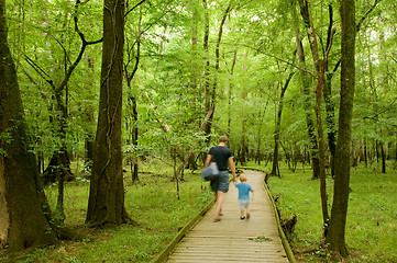 Image showing Congaree National park