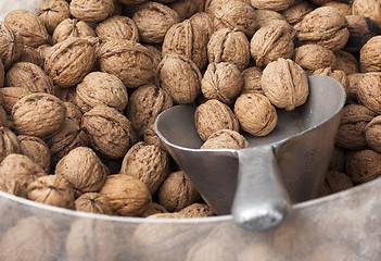 Image showing Walnuts for Sale