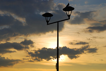 Image showing Street lamp 