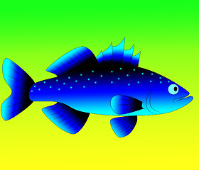 Image showing blue fish