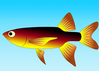 Image showing minnow