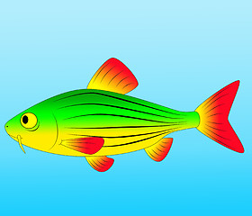 Image showing fish