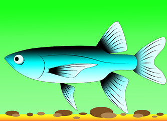 Image showing fish