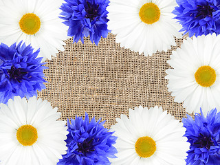Image showing Frame with white and blue flowers