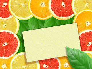 Image showing Abstract background of citrus slices