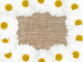 Image showing Abstract frame with white flowers