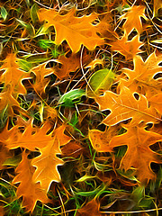 Image showing abstract autumn background