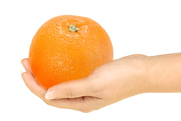 Image showing Orange in a hand