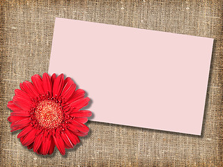 Image showing One red flower with message-card