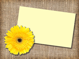 Image showing One yellow flower with message-card