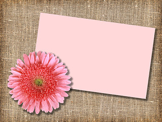 Image showing One pink flower with message-card