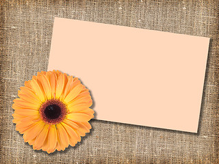 Image showing One orange flower with message-card