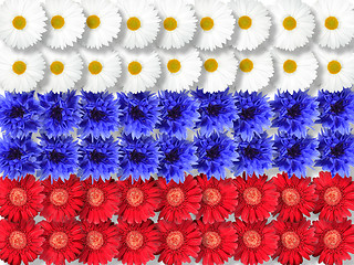 Image showing Background of flowers as Russia flag