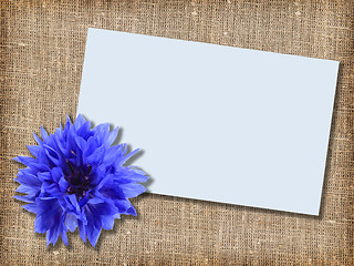 Image showing One blue flower with message-card