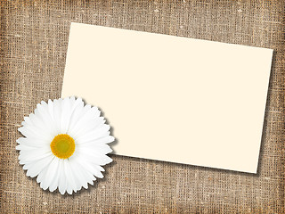 Image showing One white flower with message-card