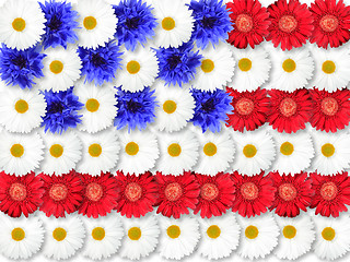 Image showing Background of flowers as USA flag