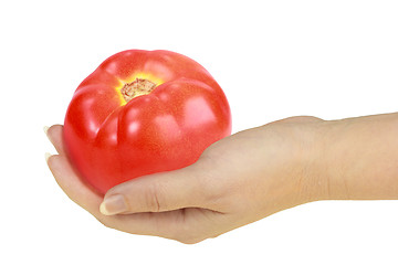 Image showing Tomato in a hand