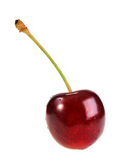 Image showing Single dark-red sweet-cherry