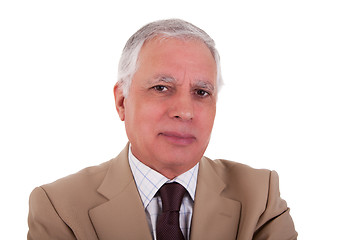 Image showing Portrait of a handsome mature businessman 
