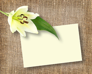 Image showing One white flower with message-card