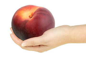 Image showing Single peach in a hand of woman