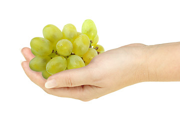 Image showing Green grape in a hand of woman