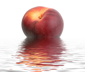 Image showing Single dark-red peach in water
