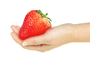 Image showing Super-big red strawberry in a hand