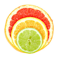 Image showing Set of cross a citrus fruits