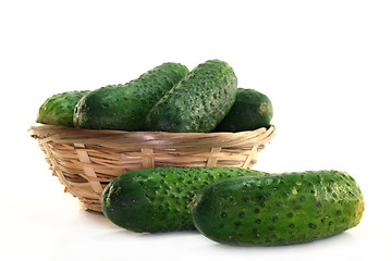 Image showing Pickling cucumbers