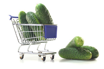 Image showing Pickling cucumbers