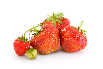 Image showing Some ripe red and one unripe strawberries