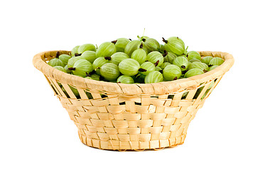 Image showing Wicker basket filled with green gooseberries