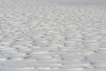 Image showing Snow