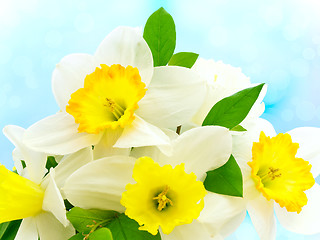 Image showing holiday flowers
