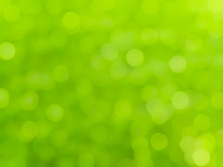 Image showing bokeh green background